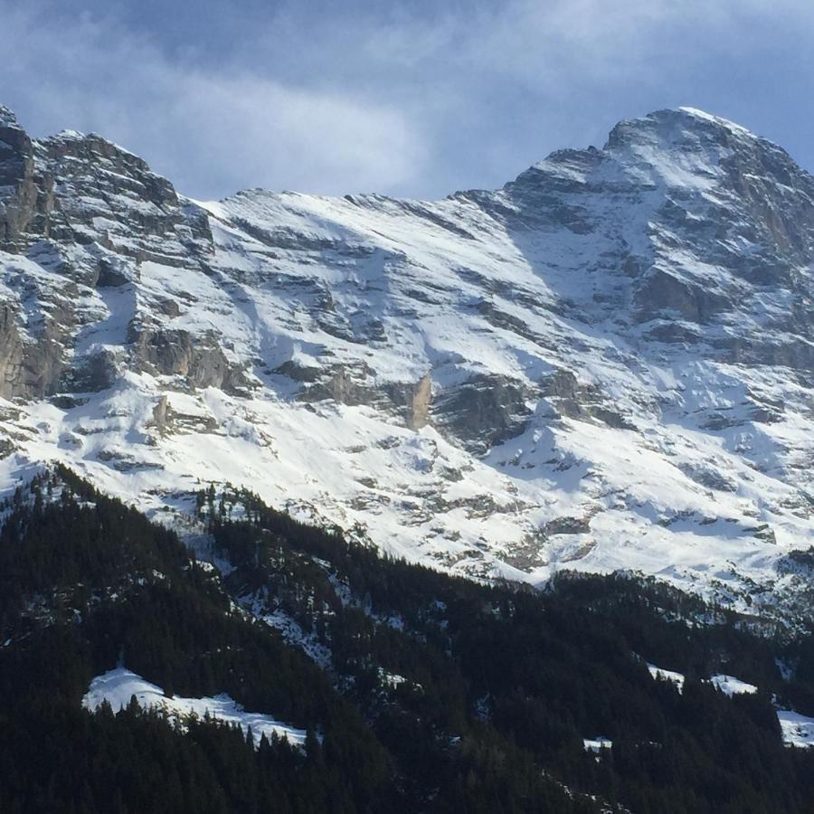 Hotel Du Sauvage Grindelwald Jungfrau 外观 照片